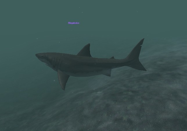 Datei:Mob Megalodon.jpg