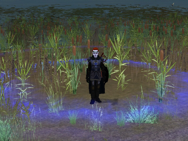 Datei:Arawn aura schadensdebuff.jpg