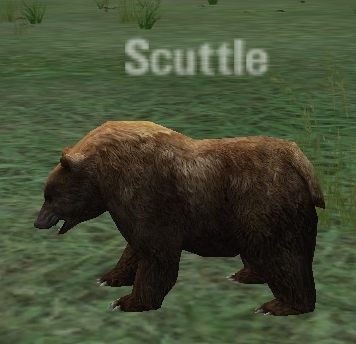 Datei:Hib Mob Scuttle.jpg