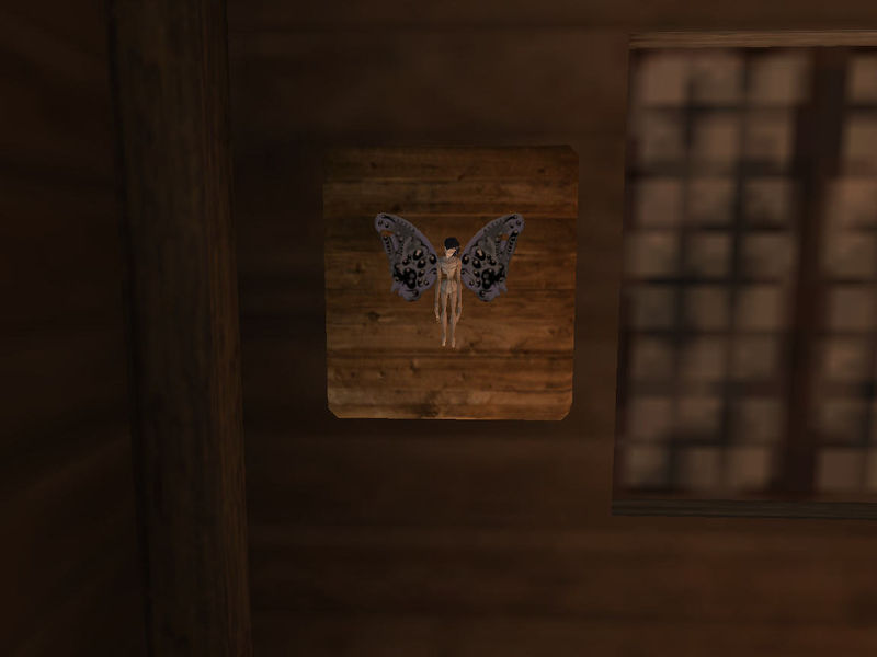 Datei:Windjägerin naihera trophaee.jpg